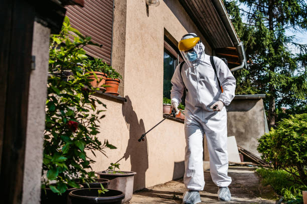 Best Wasp Removal Services  in Havana, IL