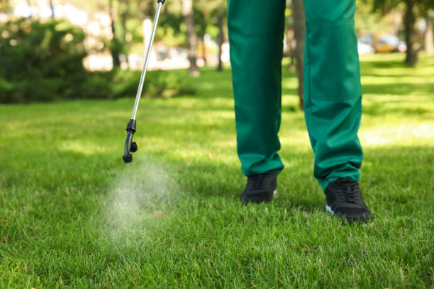 Best Residential Pest Control  in Havana, IL